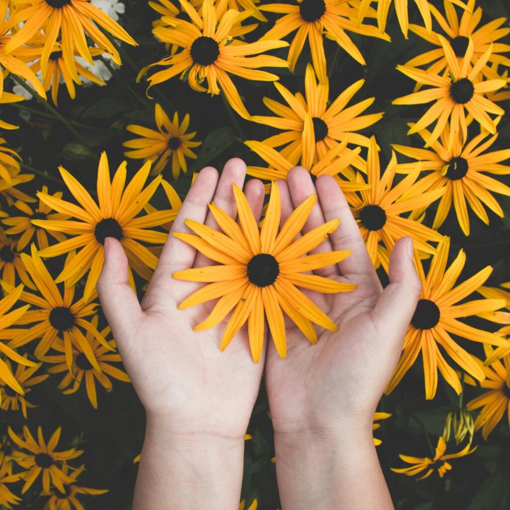 Close-up of hands holding vibrant yellow daisies, showcasing natural beauty and floral pattern.