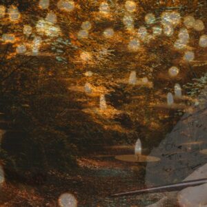 Embracing the Autumn Equinox: A Time to Reflect, Release, and Receive