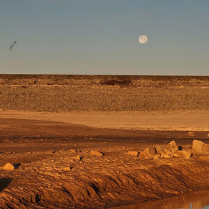 Harmonizing from the Heart